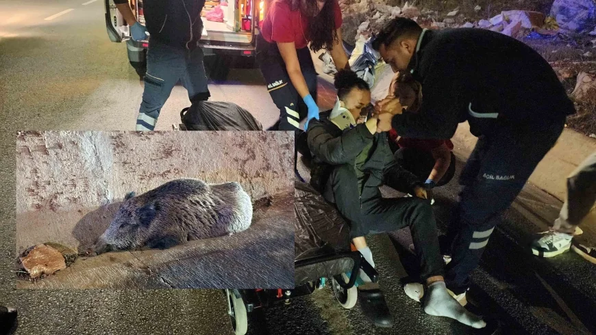 Motosikletli ile domuz çarpıştı, vatandaş hastaneye, domuz veterinere