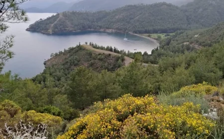 SIRADA KİLLE KOYU VAR...Muğla’da ne ÖÇK (Özel Çevre Koruma Alanı) nede Doğal sit alanlarının takan yok