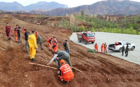Hazırlıklar tamamlandı, Muğla ve Aydın’da on binlerce fidan toprakla buluşacak yanan yerler can bulacak