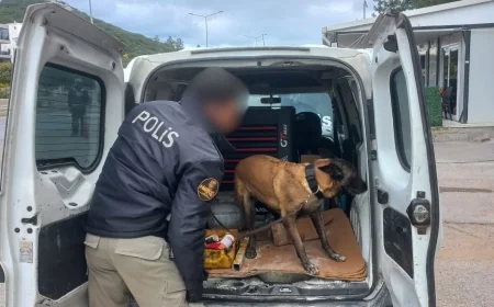 Muğla’da Asayiş Uygulamalarında ceza yağdı  12 Kişi Yakalandı, 1 Milyon Liranın Üzerinde Ceza Kesildi