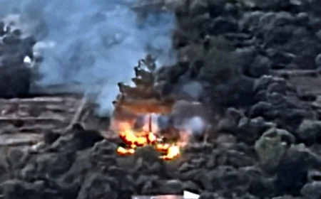 Bodrum'da anız ateşi yakmak hastalık haline geldi