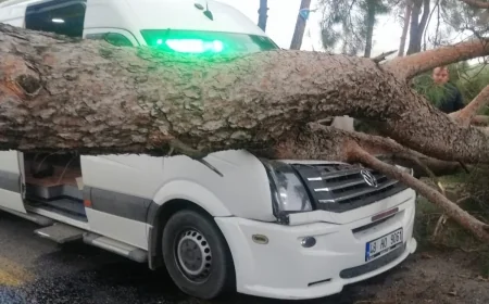 Seyir halindeki dolmuşun üzerine dev ağaç devrildi