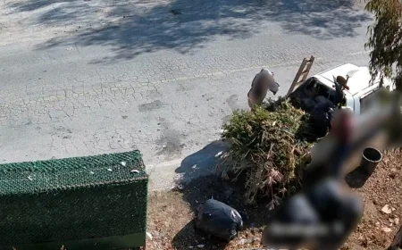 Bodrum'da çevre düşmanları  kameraya yakalandı 19 milyon TL. ceza yazıldı