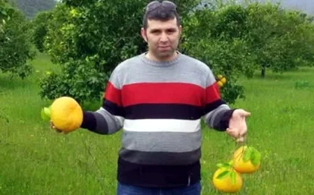 Çocuğunu yolun karşısına geçirmek isterken çarpan araba babanın sonu oldu