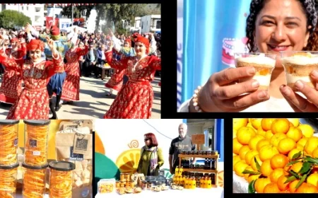 Mandalina ihracat şampiyonu oldu   Yaş meyve sebze ürünlerinin ihracat şampiyonu mandalina