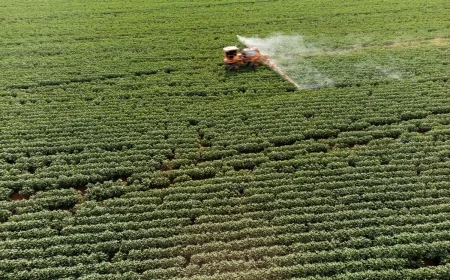 Greenpeace davayı kazandı: Tarım ve Orman Bakanlığı, 247 bin pestisit denetiminin sonuçlarını açıklamak zorunda