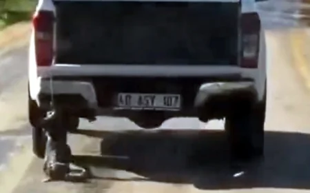 Köpeğini kamyonete bağlayıp sürükleyerek öldüren kişi tutuklandı