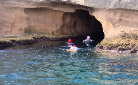 Akdeniz foklarının barınma alanları kameralarla donatılıyor