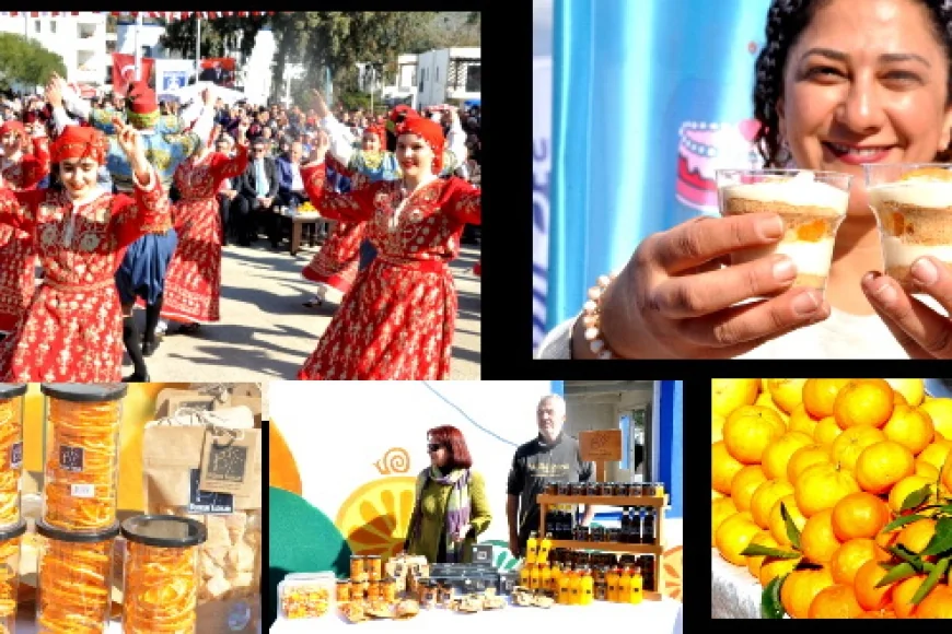 Mandalina ihracat şampiyonu oldu   Yaş meyve sebze ürünlerinin ihracat şampiyonu mandalina