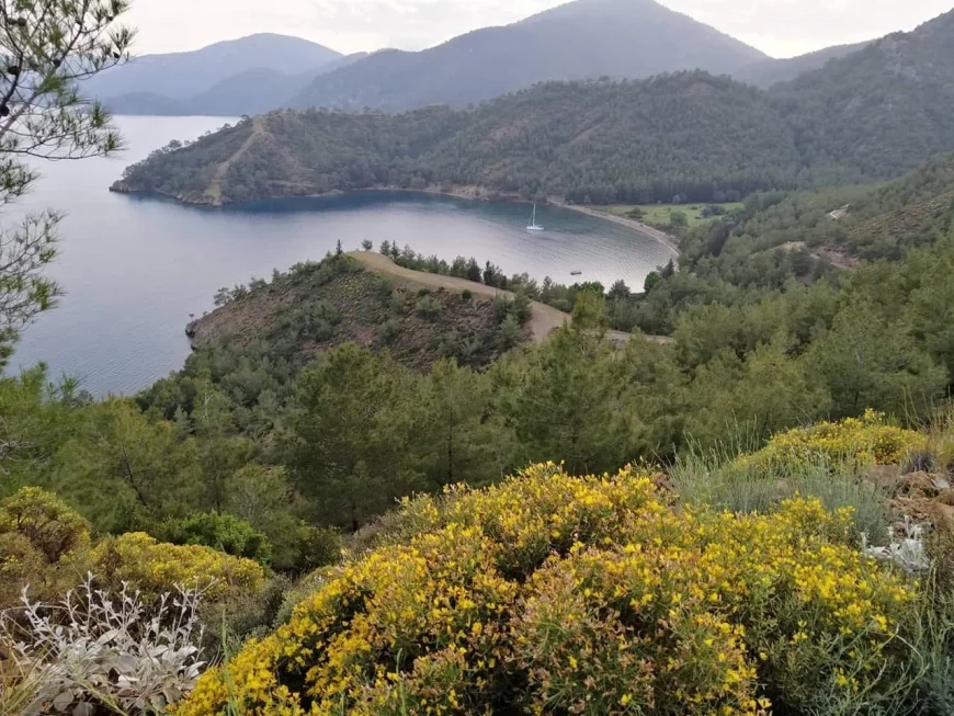 SIRADA KİLLE KOYU VAR...Muğla’da ne ÖÇK (Özel Çevre Koruma Alanı) nede Doğal sit alanlarının takan yok