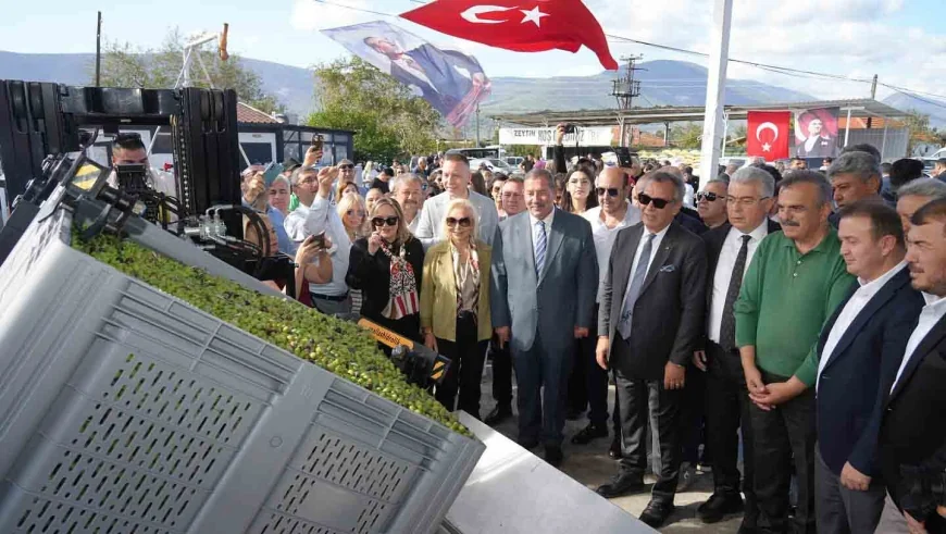 Zeytin tarlalarının kömüre kurban edildiği ilçede zeytinin önemi anlatıldı