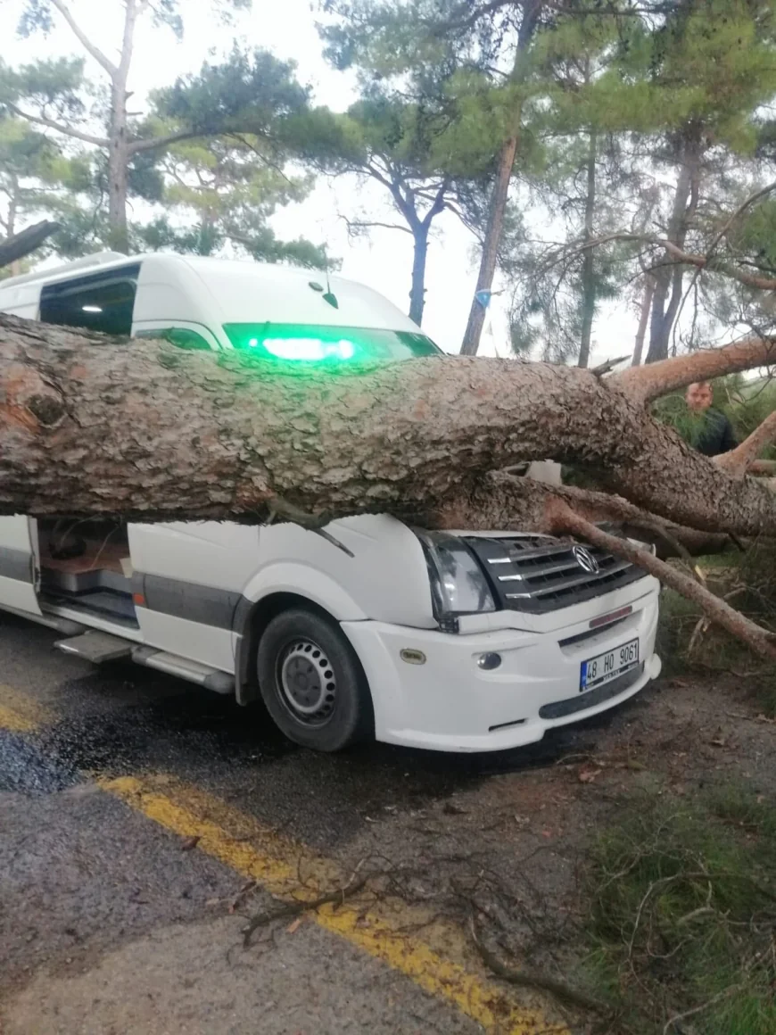 Seyir halindeki dolmuşun üzerine dev ağaç devrildi