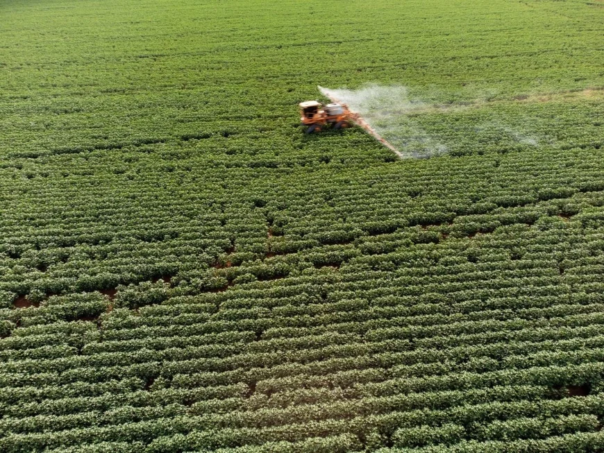 Greenpeace davayı kazandı: Tarım ve Orman Bakanlığı, 247 bin pestisit denetiminin sonuçlarını açıklamak zorunda