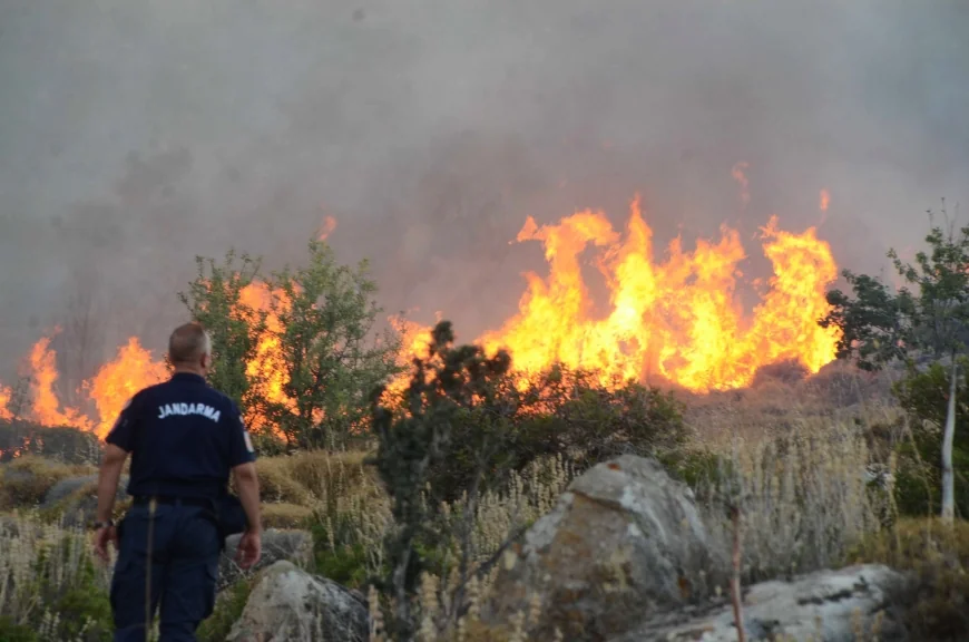 Aydın’da orman yangını çıktı