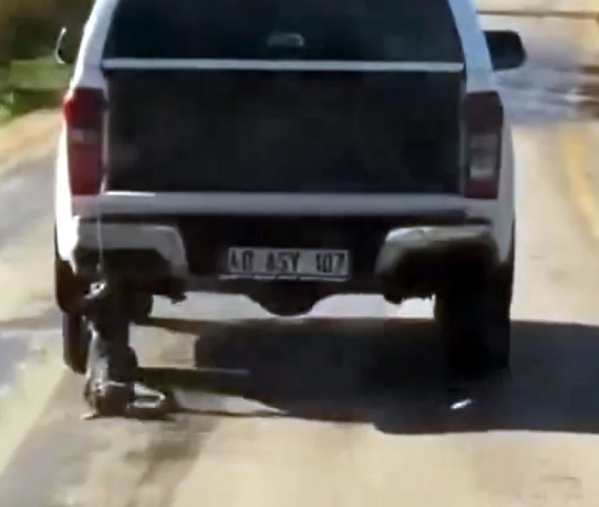 Muğla’yı ayağa kaldıran görüntü, köpeğini aracının arkasında sürükleyerek öldürdü