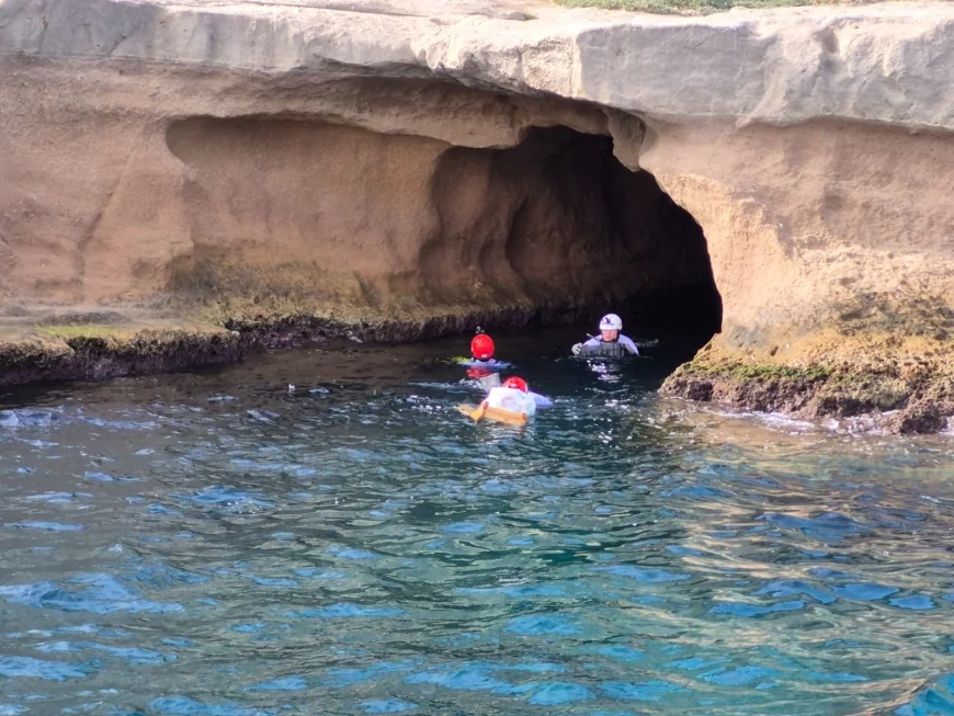 Akdeniz foklarının barınma alanları kameralarla donatılıyor