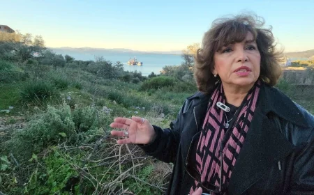 TOKİ’nin Bodrum’da parsel parsel arsa satışına sert tepki