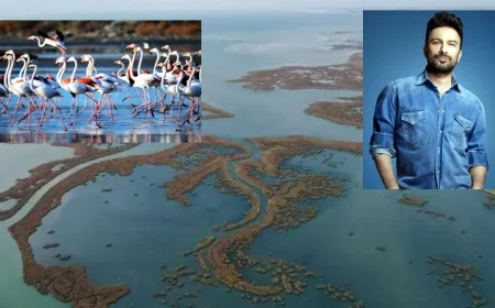 Gediz Deltası  Ölüyor feryadı yükseldi, Tarkan’dan destek geldi