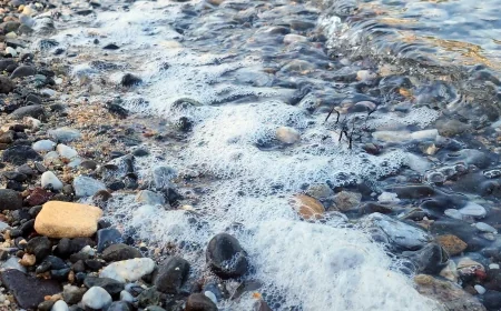 Torba’da  mavi bayraklı koy cehenneme döndü deniz köpürdü yetkililer harekete geçti, turistler gitti köpükler geldi