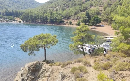 CENNET KİLLE KOYUNDAKİ MARİNAYA SERT TEPKİ “BU KOYUDA VERİRSEK SIRADA DİĞERLERİ VAR”