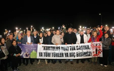 Muğlalılar Kille Koyu’nu kurtarmak için gece eylemi yaptı