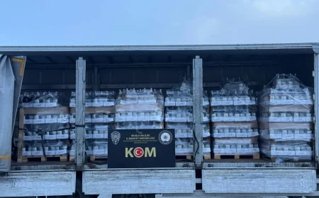 Muğla’da bir kamyon dolusu sahte şarap ele geçirildi