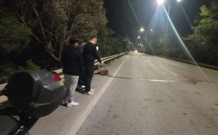 Torba yolunda domuz kabusu: 3 araçta hasar