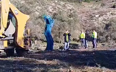 Türkiye bunuda gördü Akbelen’de kestikleri zeytin ağaçlarını MAVİYE BOYAMAYA BAŞLADILAR