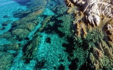 Yunanistan’ın deniz parkları projesini hızlandırıldı