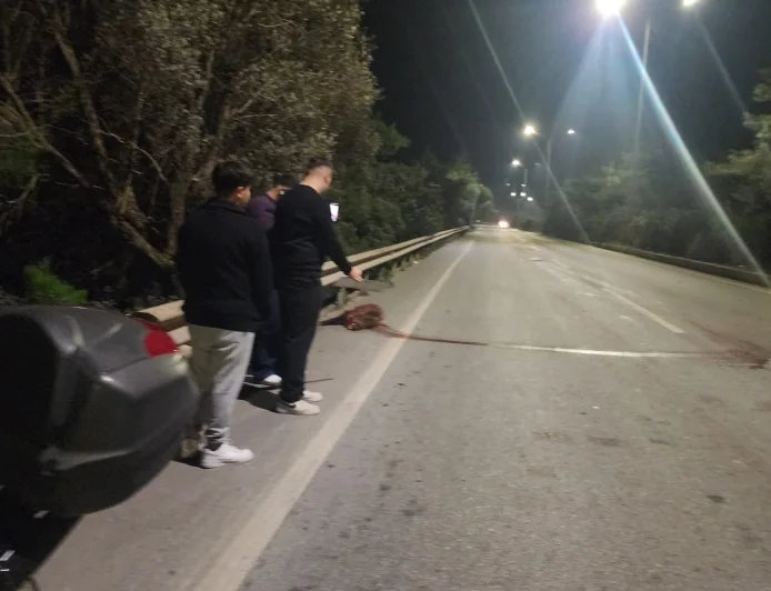 Torba yolunda domuz kabusu: 3 araçta hasar