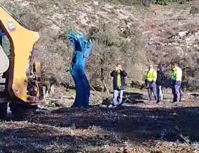 Türkiye bunuda gördü Akbelen’de kestikleri zeytin ağaçlarını MAVİYE BOYAMAYA BAŞLADILAR