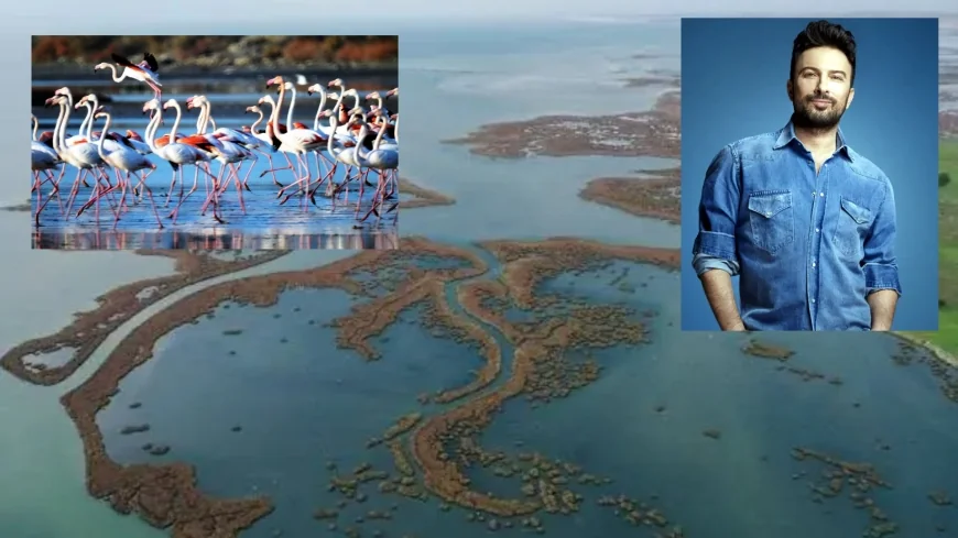 Gediz Deltası  Ölüyor feryadı yükseldi, Tarkan’dan destek geldi