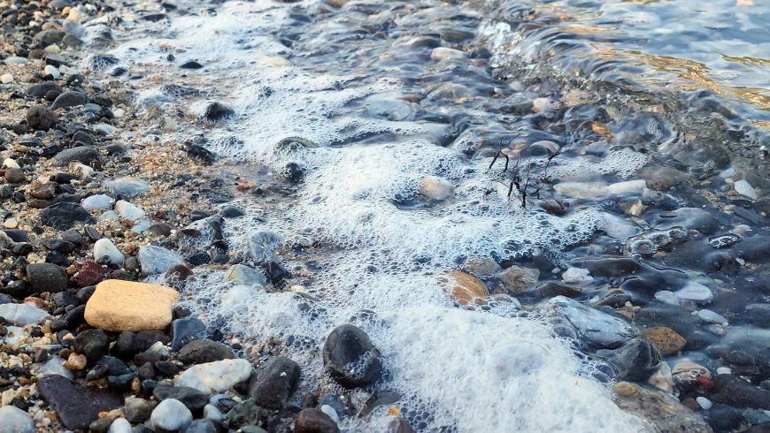 Torba’da  mavi bayraklı koy cehenneme döndü deniz köpürdü yetkililer harekete geçti, turistler gitti köpükler geldi
