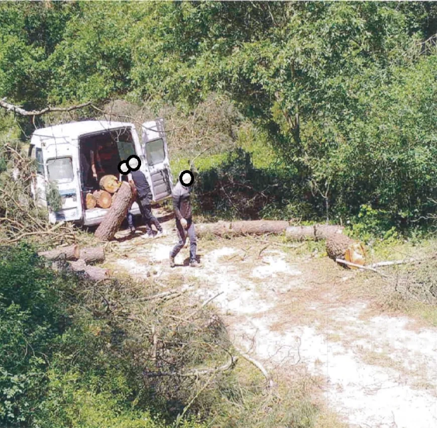 Ormanlarda kaçak kesime karşı yapay zekalı 7/24 koruma başlatıldı