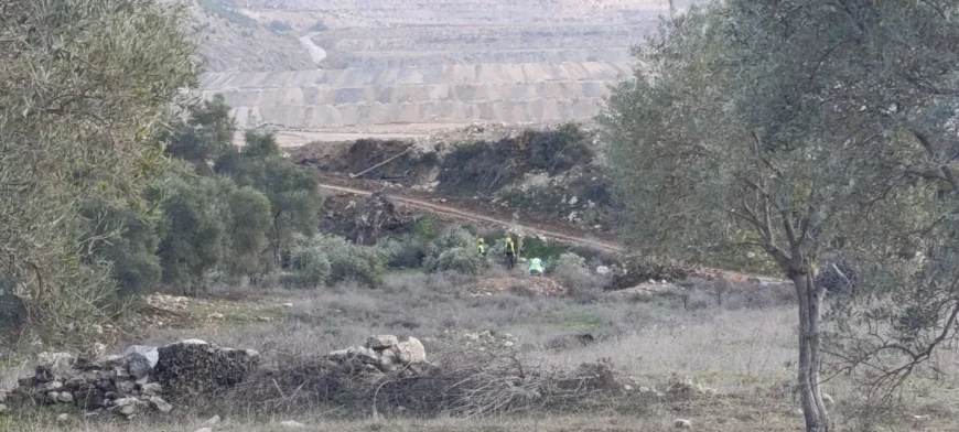 AKBELEN’DE İŞLEM BAŞLADI TAM 82 BİN ZEYTİN AĞACI TAŞINACAK, ŞİRKET AÇIKLAMA YAPTI