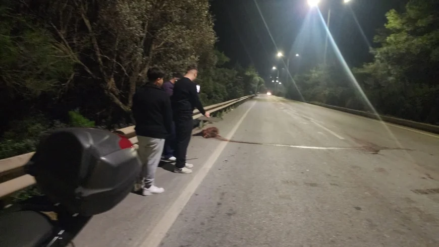 Torba yolunda domuz kabusu: 3 araçta hasar