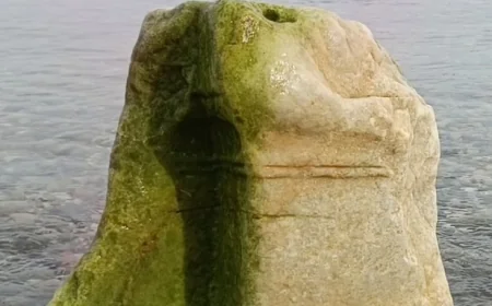 Denizden tarih fışkırdı