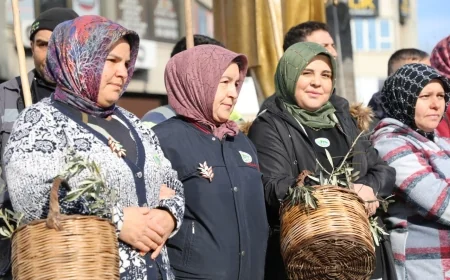 Zeytin cennetinde MECİ şenlikleri düzenlendi