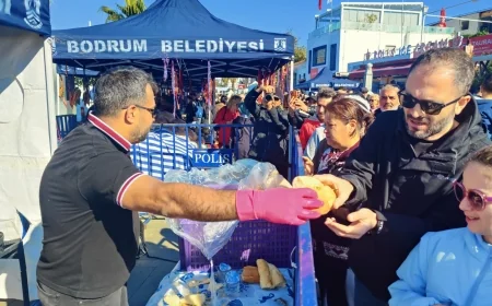 Bodrum’da Karadeniz rüzgarı esti 5 ton hamsi kapış kapış gitti
