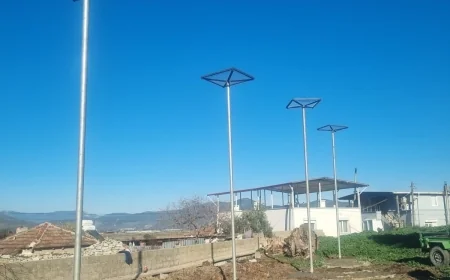 Leylekler ölmesin diye güvenli yuvalar yapıldı