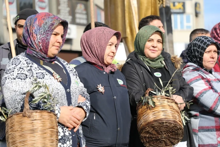 Zeytin cennetinde MECİ şenlikleri düzenlendi