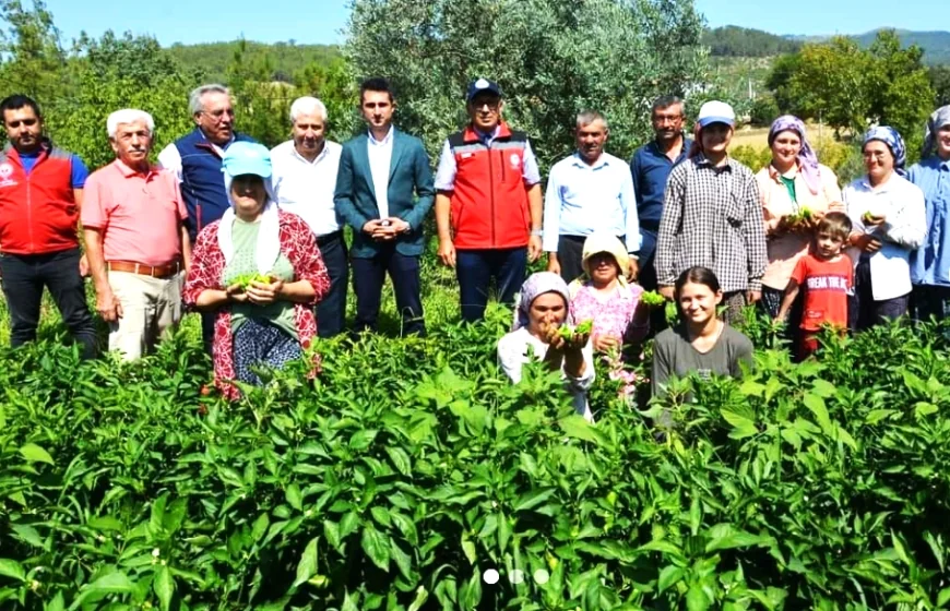 İKÖZKEY AKBELENLİLERE ÖRNEK OLACAK KARAR  ÖRENTAHT KÖYÜNDEKİ ACELE KAMULAŞTIRMAYI DANIŞTAY DURDURDU