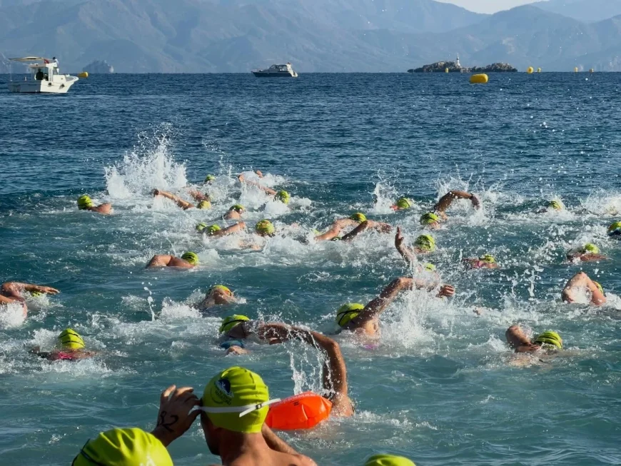 Bugün Datça’da atılan her kulaç fidan oldu