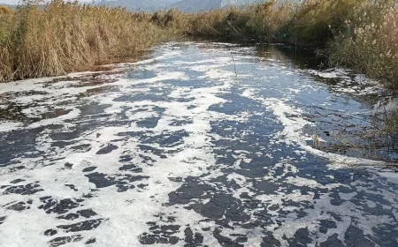 İklim Adaleti Komisyonu’ndan sulak alanlar için ciddi uyarı  DOĞAL SU KAYNAKLARI SANAYİYE VE MADENCİLİĞE TAHSİS EDİLMEKTEDİR