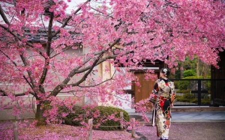 Aşırı turizm nedeniyle dünyanın en önemli festivali iptal edildi