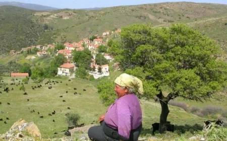 ÇED Olumu kararı verilen projenin zararları bilirkişi raporu ile ortaya çıktı