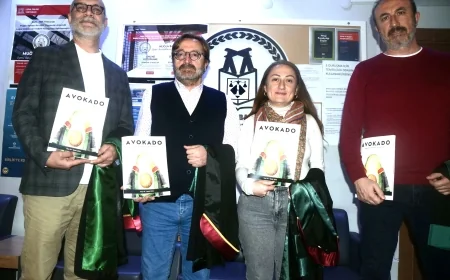 Avukatların “Avokado”su çıktı, Türkiye'de bir ilk oldu büyük beğeni kazandı