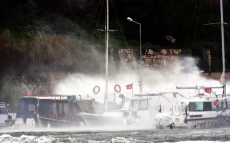 Bodrum’da Fırtına Hayatı Olumsuz Etkiledi: Ağaçlar Devrildi, Tekneler Battı