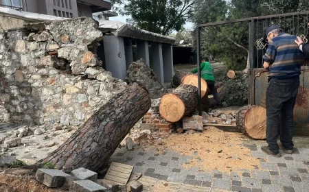 Bodrum ve Milas’ta fırtına hayatı felç etti: Ağaçlar devrildi, enerji sistemleri ve çatılar uçtu, tekneler hasar gördü