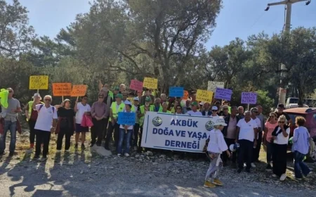 Akbük cennetindeki Kalker ve Taş Ocağı Projesi’nin ÇED gerekli değildir  raporu iptal edildi